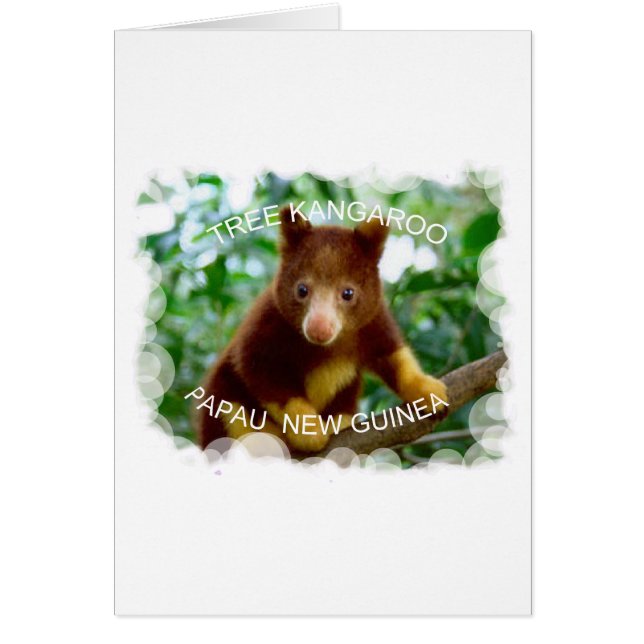 Tree kangaroo (Front)
