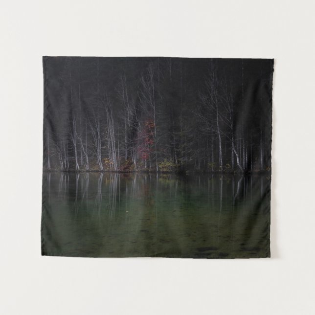 Tree landscape at lake tapestry (Front (Horizontal))