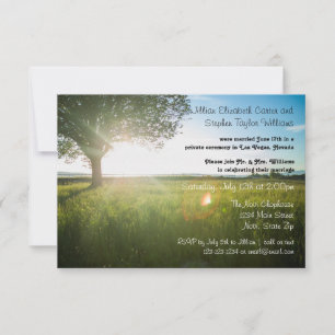 Tree Landscape Photo - 3x5 Wedding Announcement
