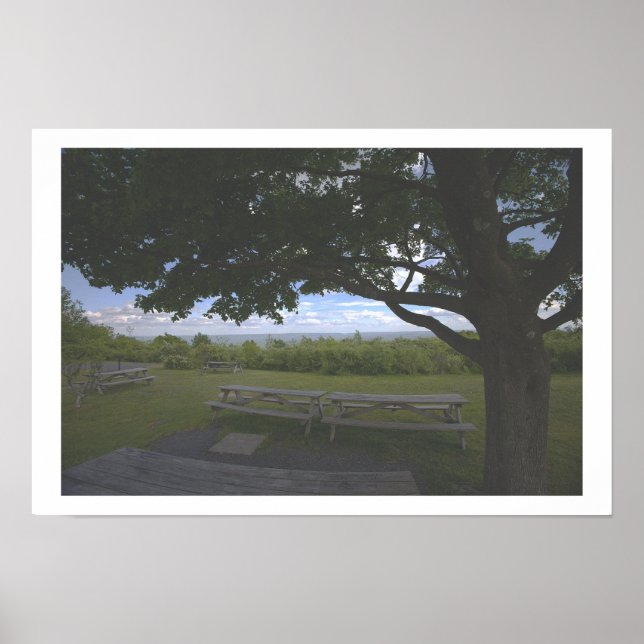 Tree Landscape View Photo Poster (Front)
