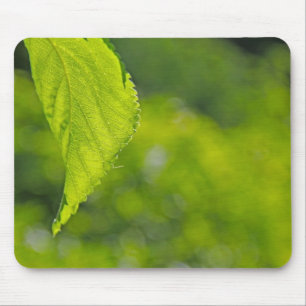 Tree leaf bokeh mouse pad
