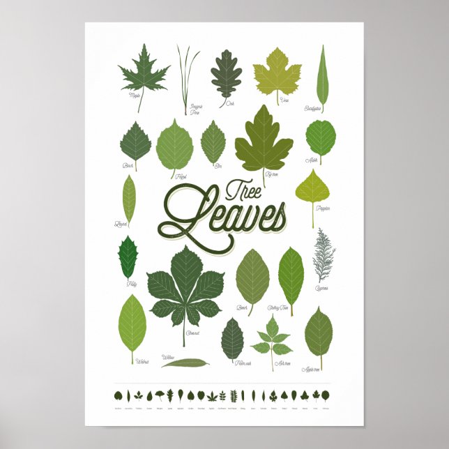 TREE LEAVES póster Poster (Front)