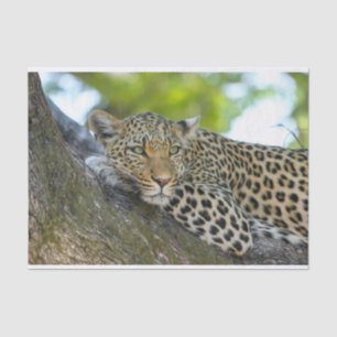 tree leopard tissue paper