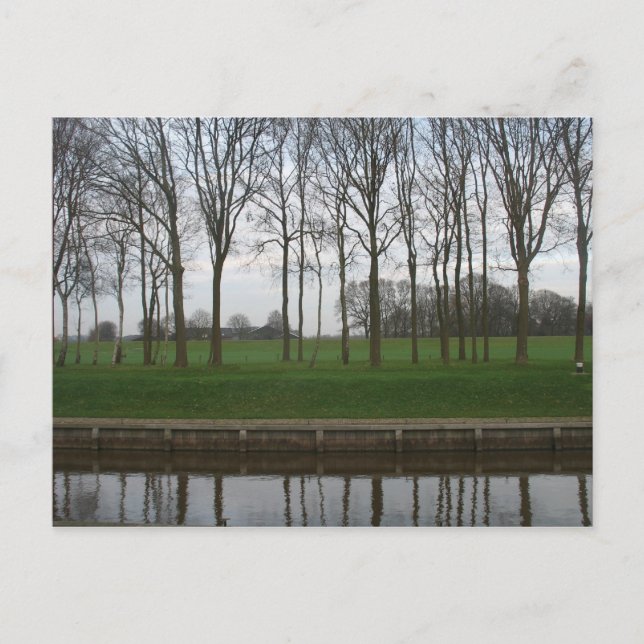 Tree Line Canal Postcard (Front)