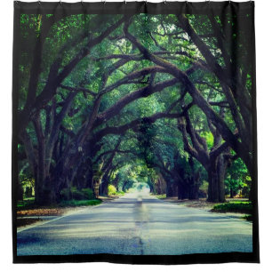 TREE LINED AVENUE SHOWER CURTAIN
