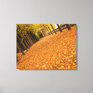 tree-lined avenue with leaves on canvas print