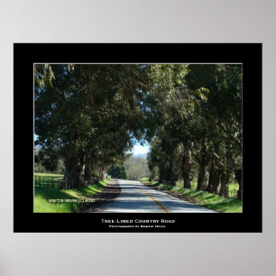 "Tree-Lined Country Road" Poster