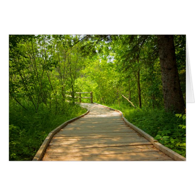 Tree-Lined Path (Front Horizontal)