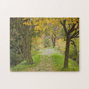 Tree-lined Path in Autumn Jigsaw Puzzle