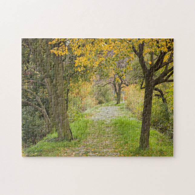 Tree-lined Path in Autumn Jigsaw Puzzle (Horizontal)