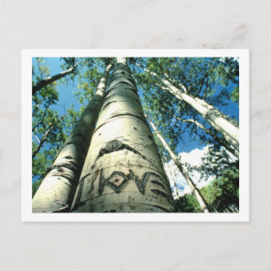 Tree Love Postcard