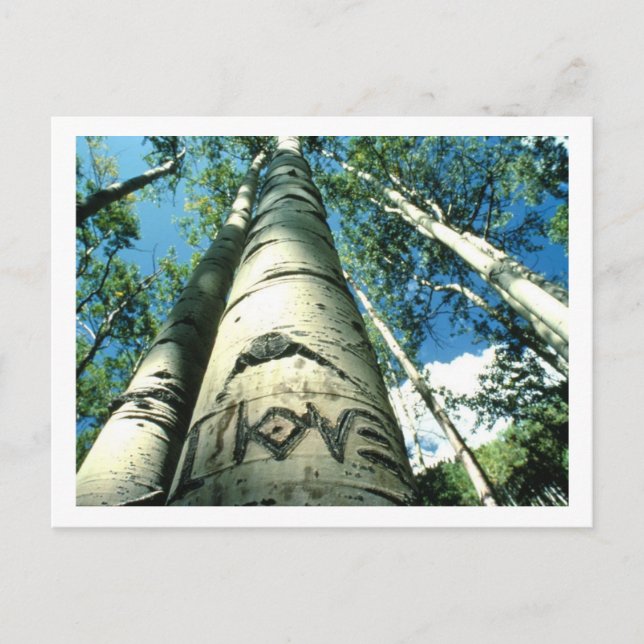 Tree Love Postcard (Front)