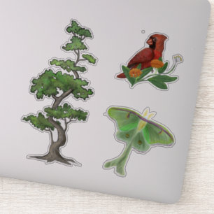 Tree, Luna Moth, and Cardinal Bird Nature