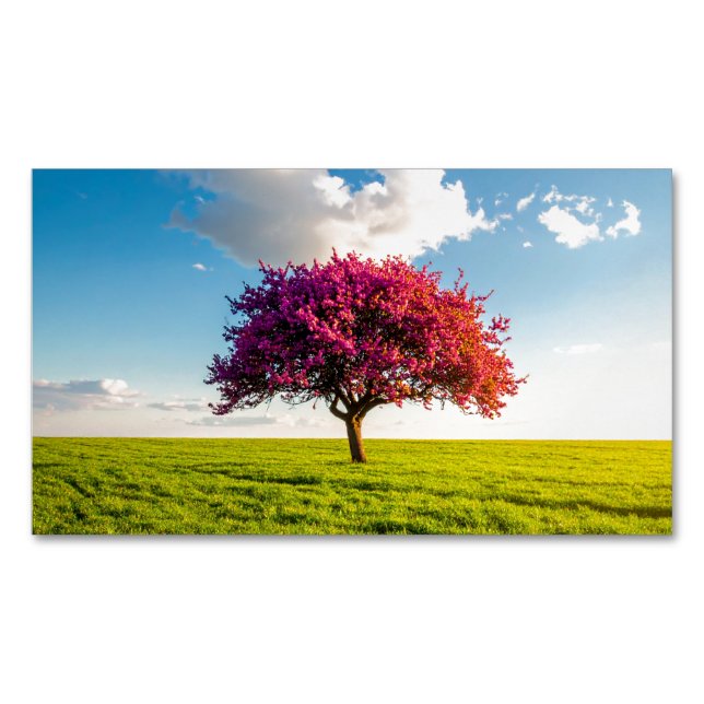 tree magnetic business card (Front)