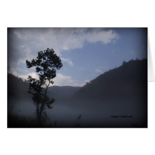 Tree near Fontana Dam, North Carolina