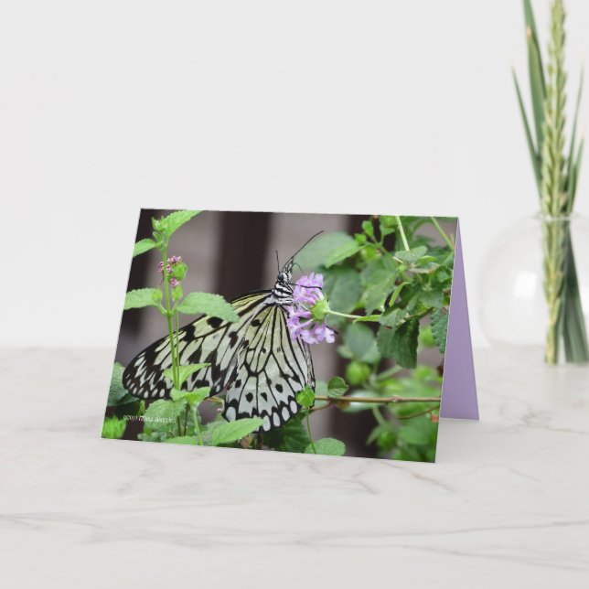 Tree Nymph Card (Front)