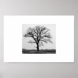 Tree of Death Poster
