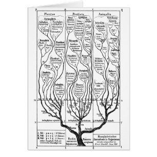 Tree of Life