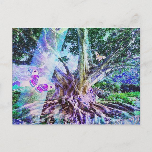 Tree of Life Beauty Postcard (Front)