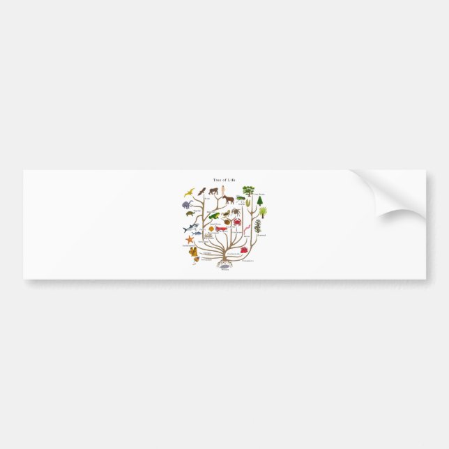 Tree Of Life Bumper Sticker (Front)
