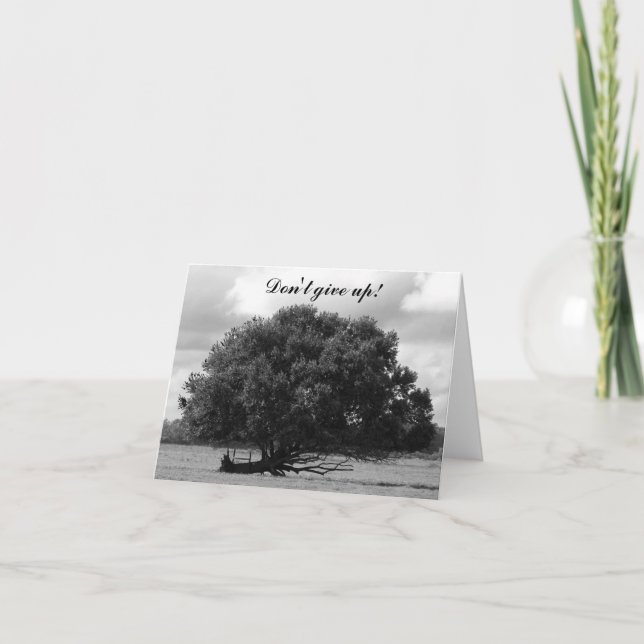 Tree of Life Card (Front)