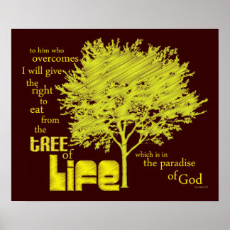 Tree of Life Christian Scripture canvas print