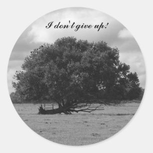 Tree of Life Classic Round Sticker