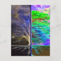 Tree of Life Connection