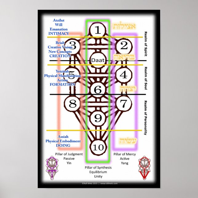 Tree of Life Diagram | Small Poster (Front)