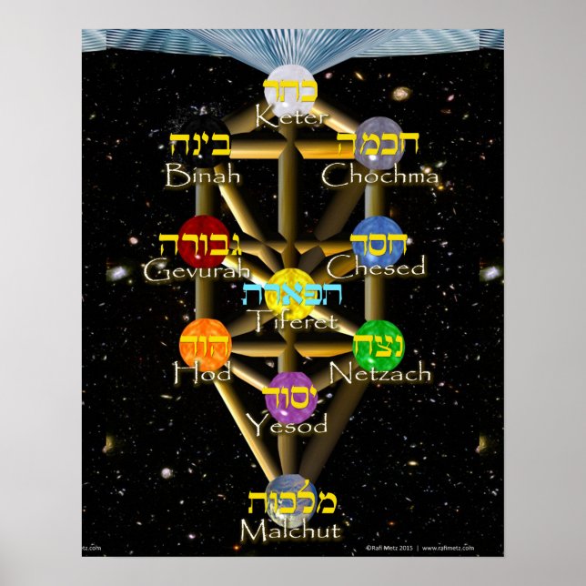 Tree of Life diagram with Hebrew and English Poster (Front)
