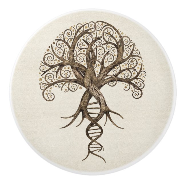 Tree of Life - Evolution Ceramic Knob (Front)