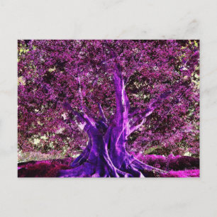 Tree of Life Heart Postcard