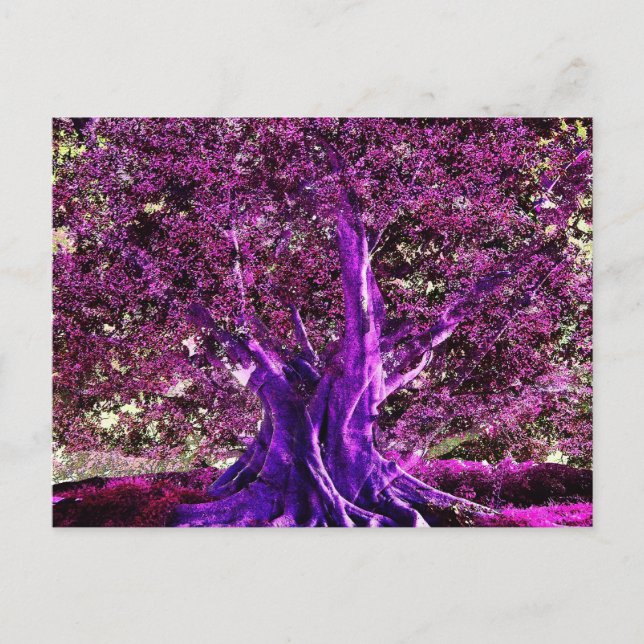 Tree of Life Heart Postcard (Front)