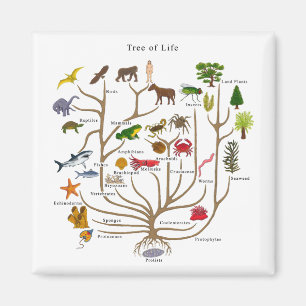 Tree Of Life Magnet