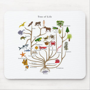 Tree Of Life Mouse Pad