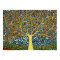 Tree of Life