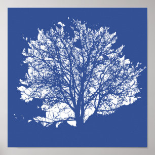 Tree of Life Poster