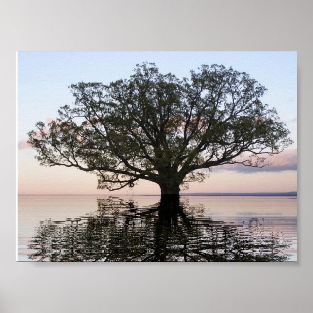 Tree of Life (Reflections) Poster (Front)