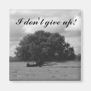 Tree of Life Square Magnet