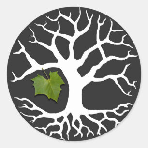 Tree of Life with Sycamore Leaf Sticker