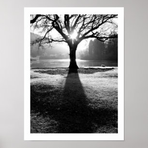 Tree of Light: Derwentwater, Cumbria Poster