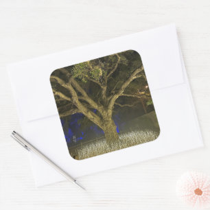 Tree of Lights Sticker