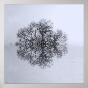 Tree of Reflection Art Poster Print