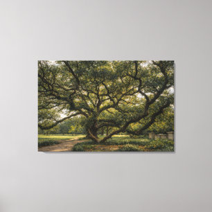 Tree of Southern Life   Live Oak Art   Stretched Canvas Print