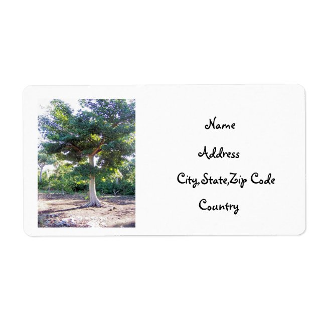 Tree of Wisdom-address label (Front)