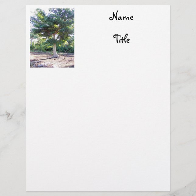 Tree of Wisdom-letterhead Letterhead Template (Front)