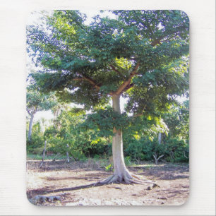 Tree of Wisdom-mousepad Mouse Pad