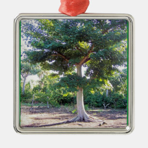 Tree of Wisdom-prem square ornament