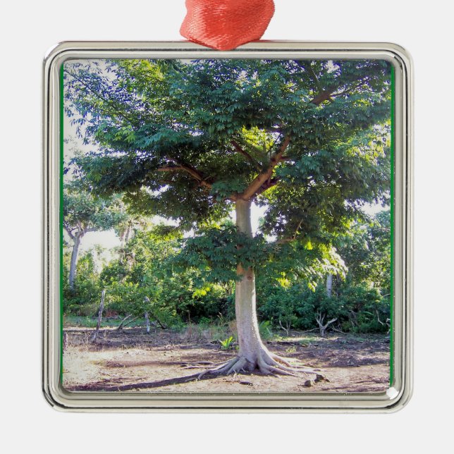 Tree of Wisdom-prem square ornament (Front)