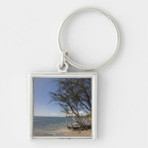 Tree On A Beach Along The Coastline Key Ring